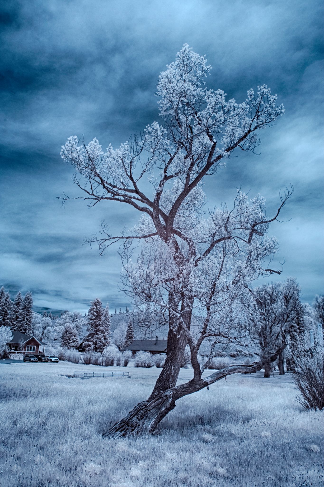 Barb Rathbun Photography
