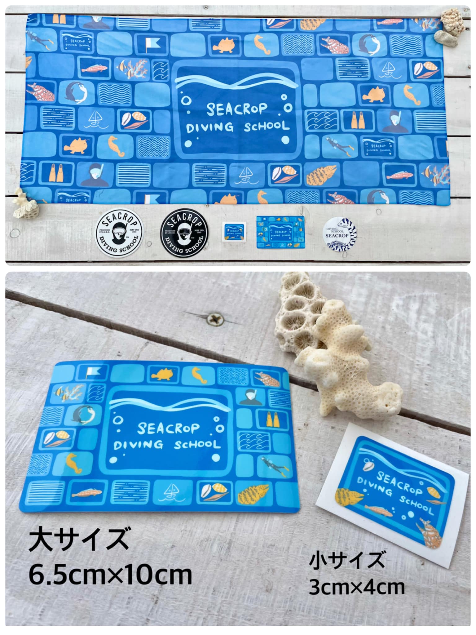 シークロップダイビングスクール Facebook