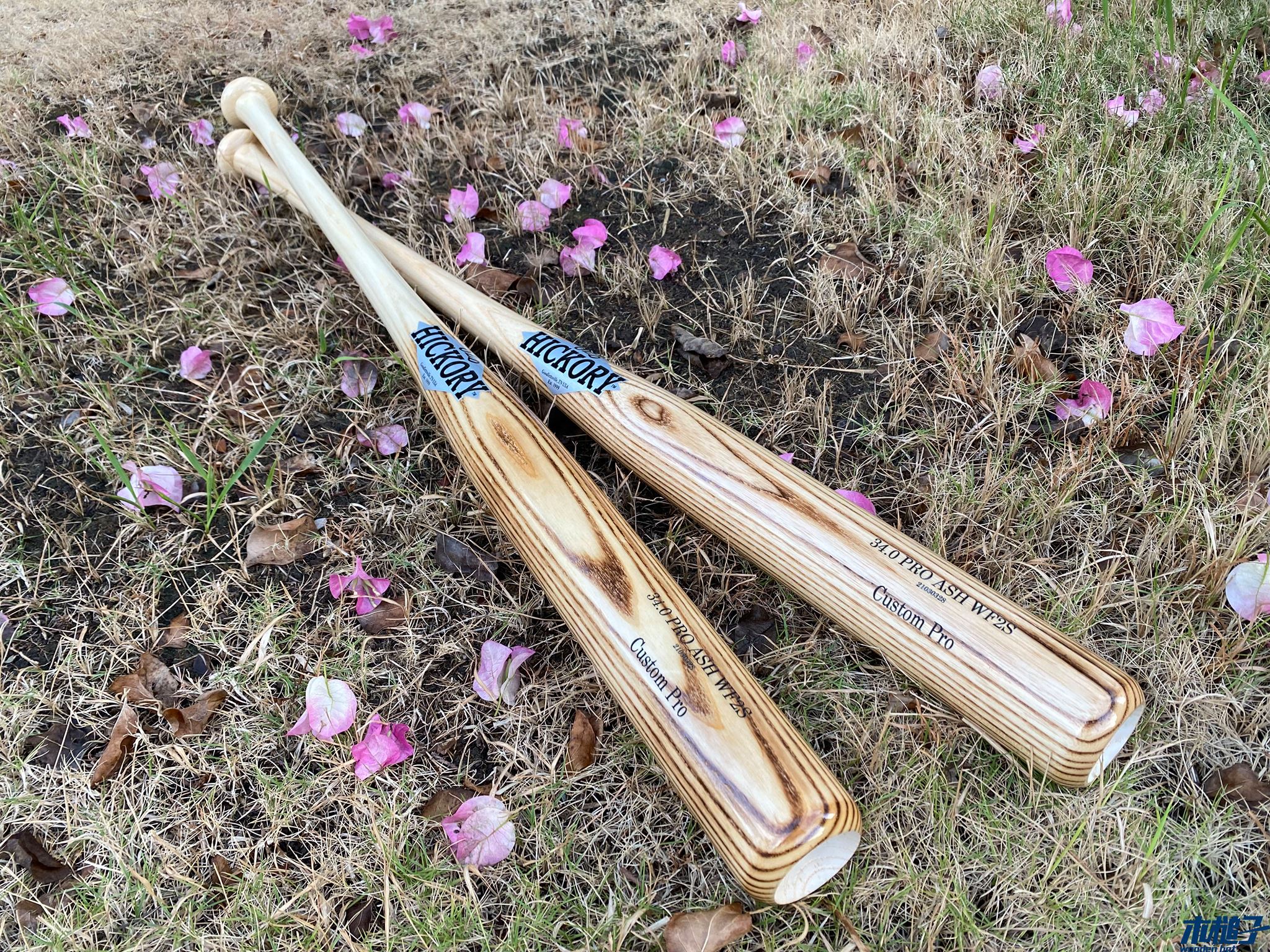 木槌子 Wooden Bat - 【木槌子】 最近收到比較多球友討論白樺/白梣(ASH)。... | Facebook