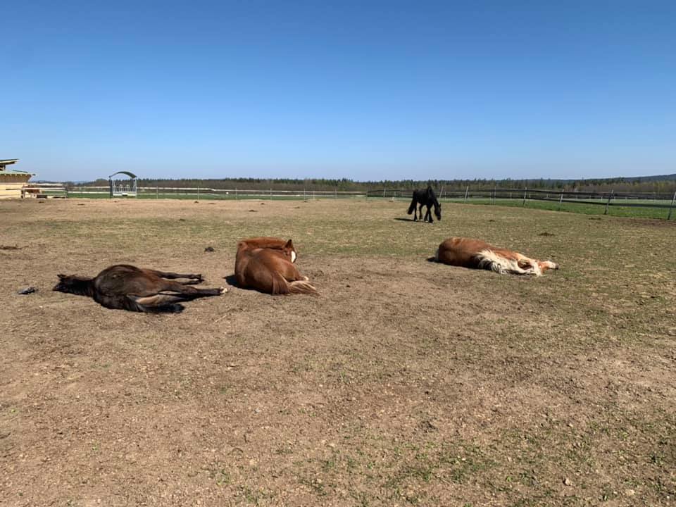 Double-u RANCH | Tirschenreuth