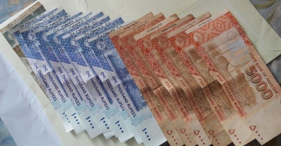 Go Nawaz Go on Currency Notes