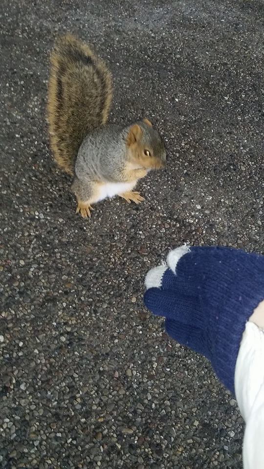 ProjectSquirrel.org - An email from a Project Squirrel participant: We ...
