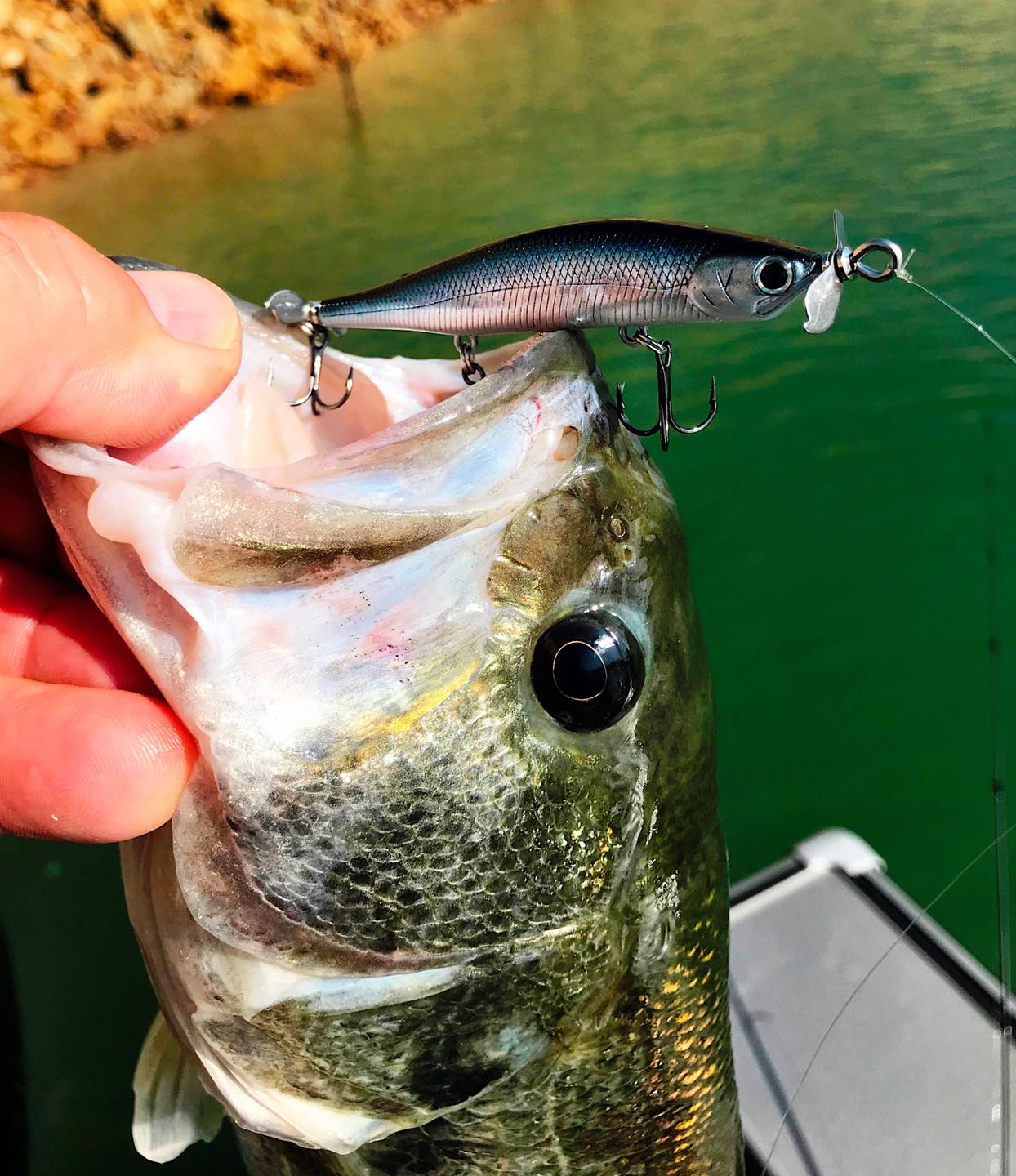 castaic fishing lures Giant Jerky J Swim 7