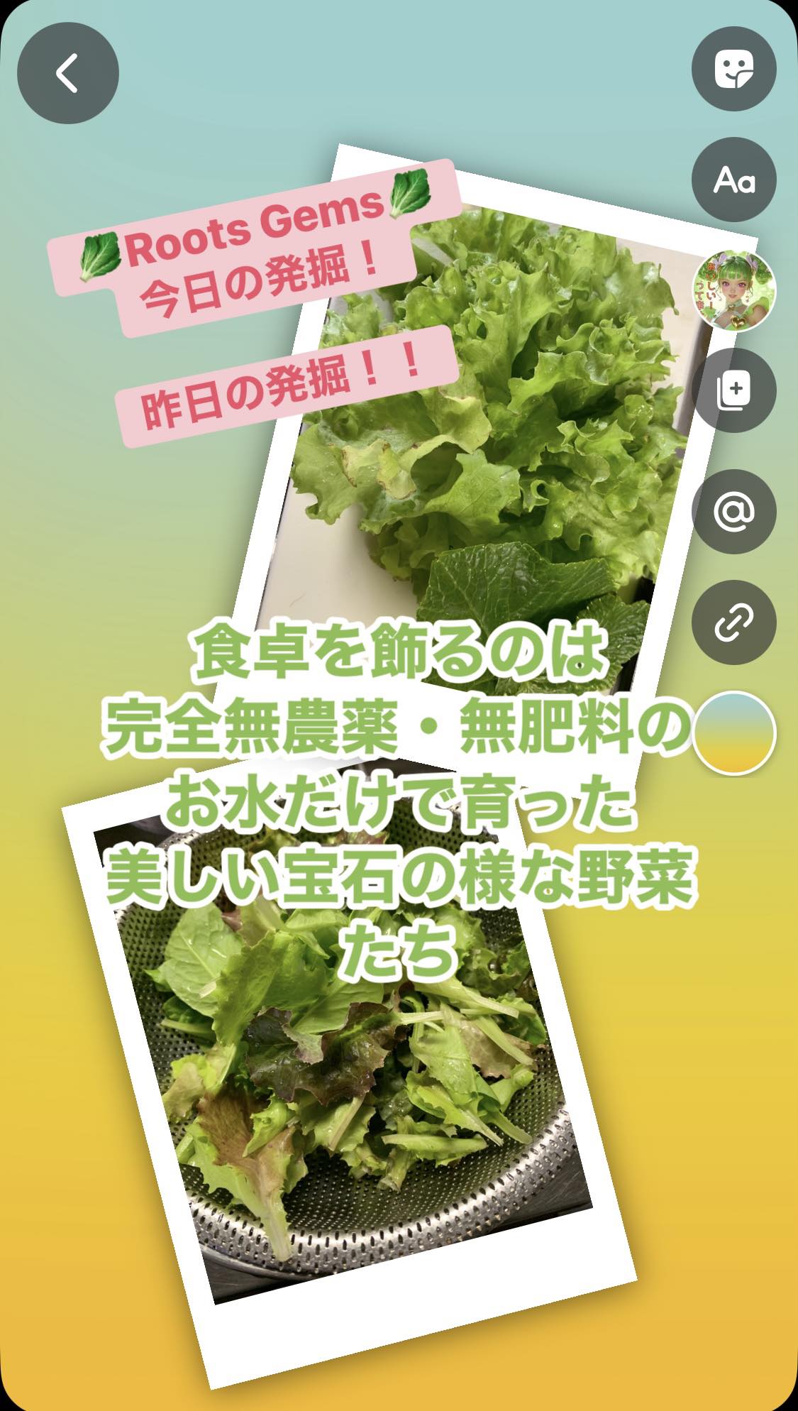 みなさんこんばんは！ プランター生まれプランター育ちの野菜たちです。