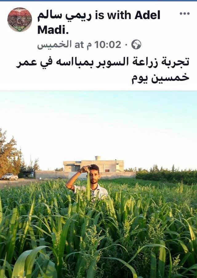ان شركه قطوف ليبيا اول شركه في تختص قطوف ليبيا بونيكام פייסבוק