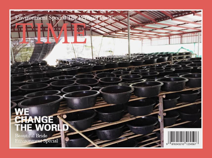 Dfarm... - Dfarm ฟาร์มไส้เดือนดีดี-Organic farm