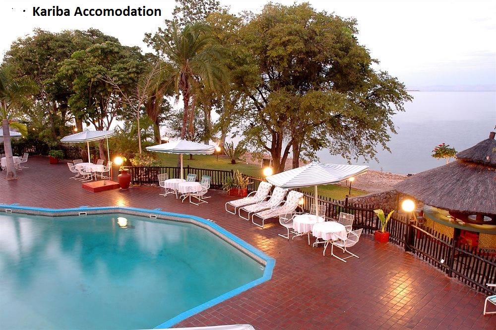 Harare Township Tours added a new... - Harare Township Tours
