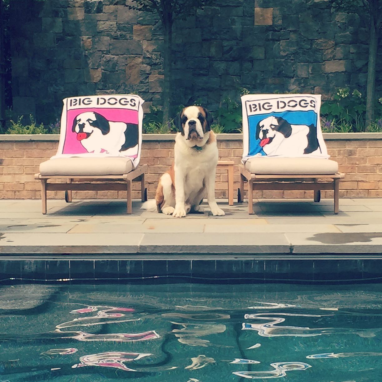Big Dogs ホーム Facebook