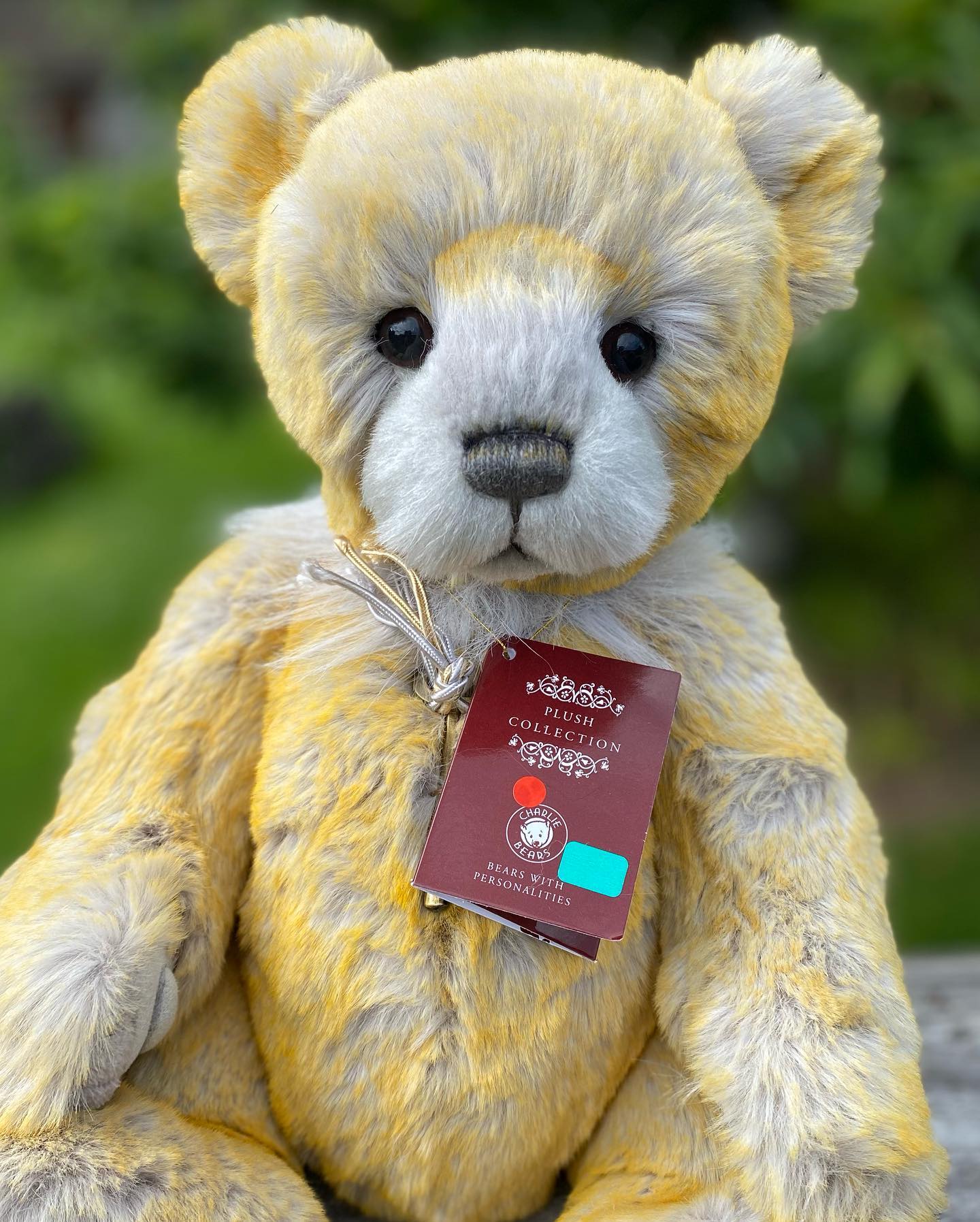 チャーリーベアーズ　テディベア　Honeybunch Honey Bunch by Charlie Bears is back in stock at One More Bear