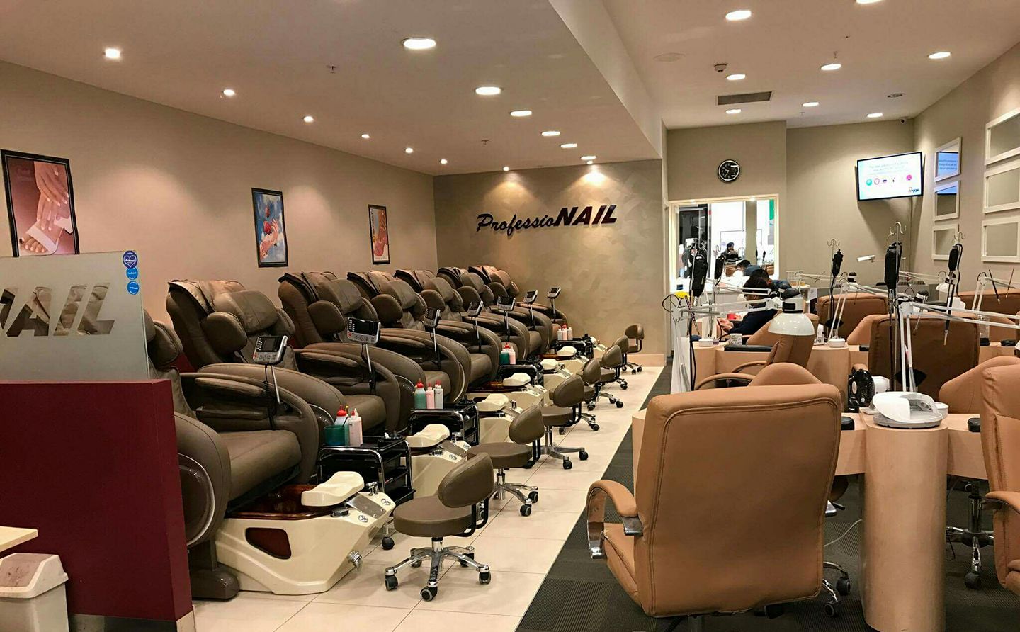 Professionail | Palmerston North