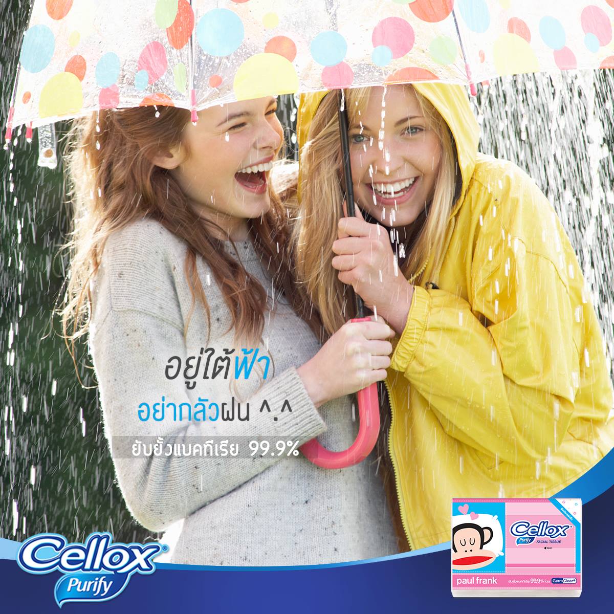 Cellox Thailand - เริ่มต้นเข้าสู่หน้าฝน สาวๆ ก็ชักหวั่นใจ เปียกปอนไม่ ...