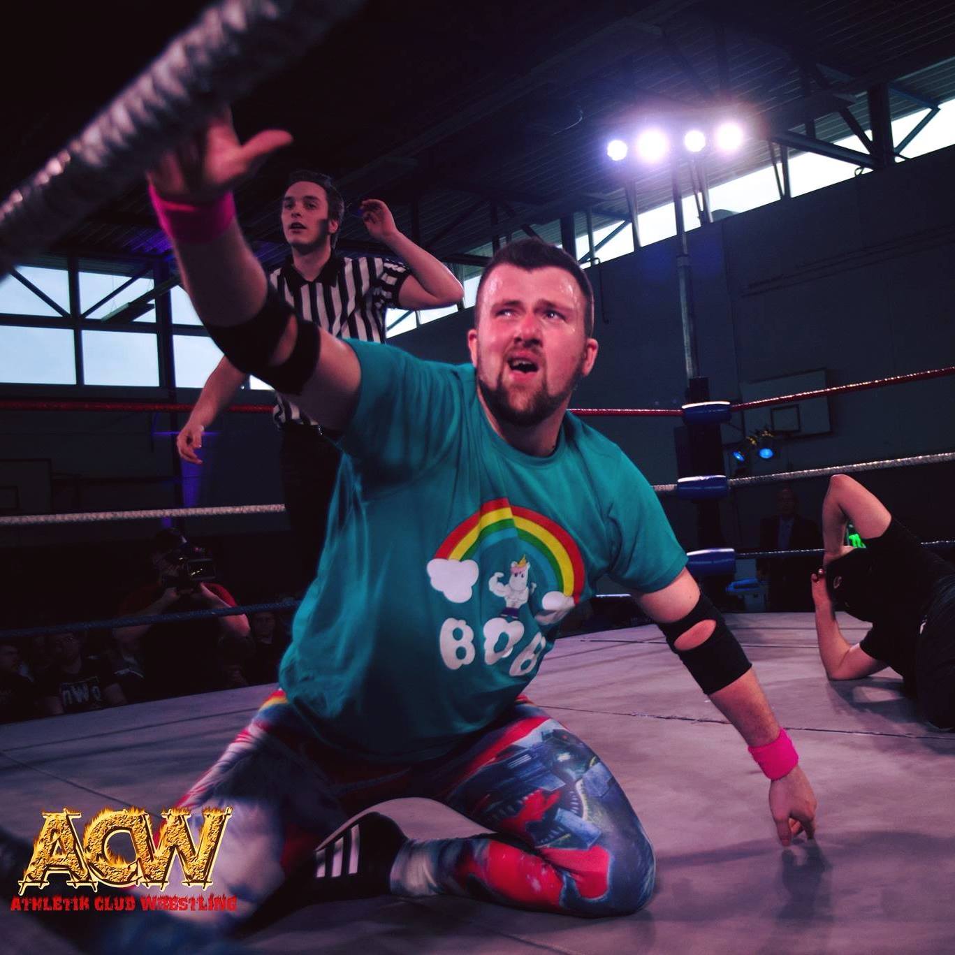 Bob - The Unicorn Hunter