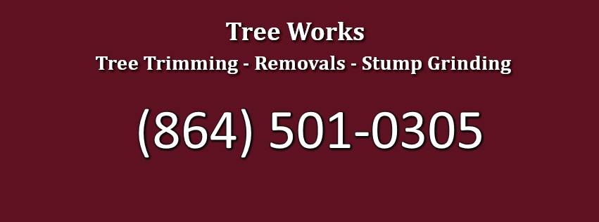 Tree Service Greenville SC | Greenville SC