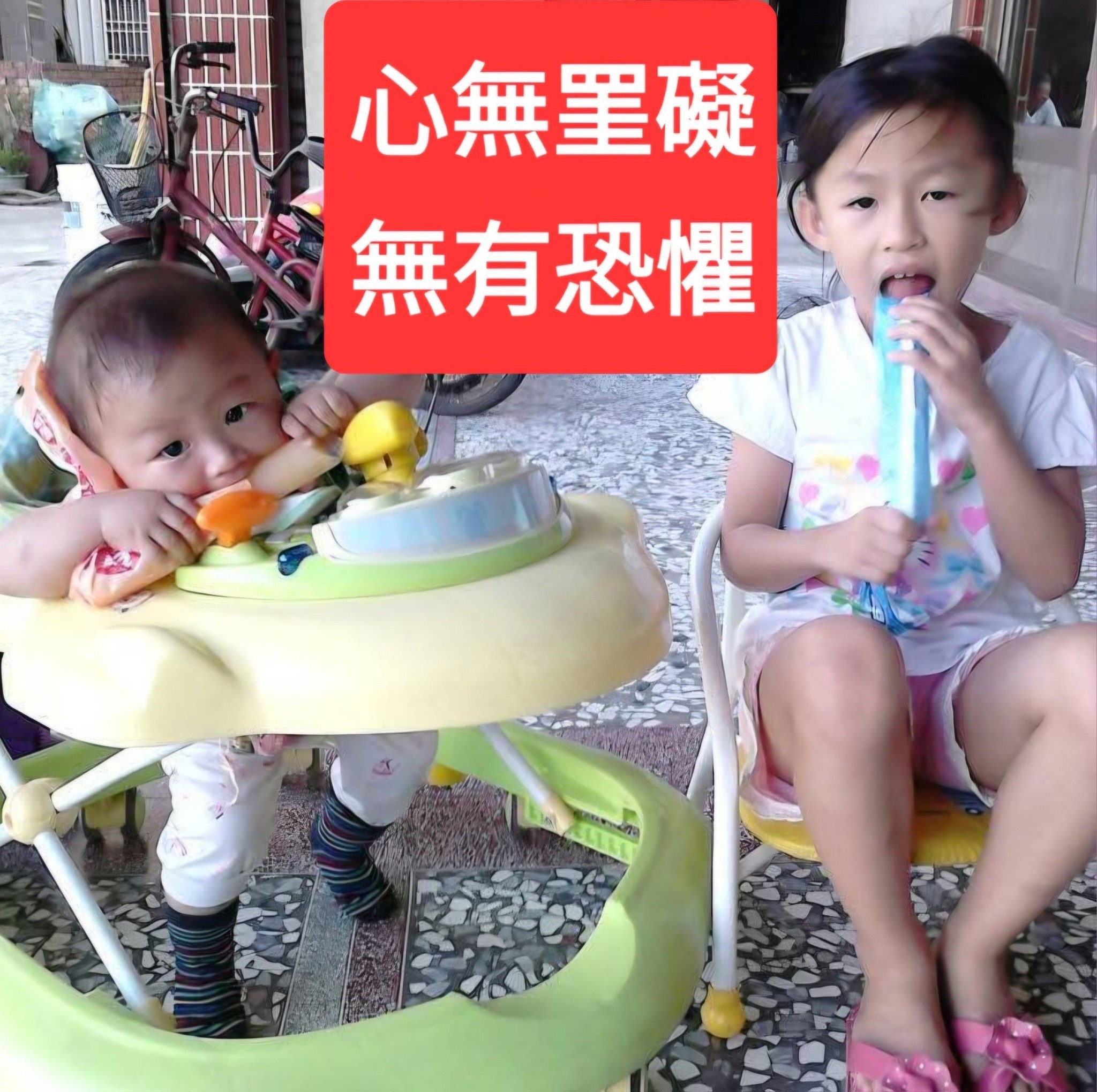 115.8.19（三）大寶的第三張證照 | 賴怡如