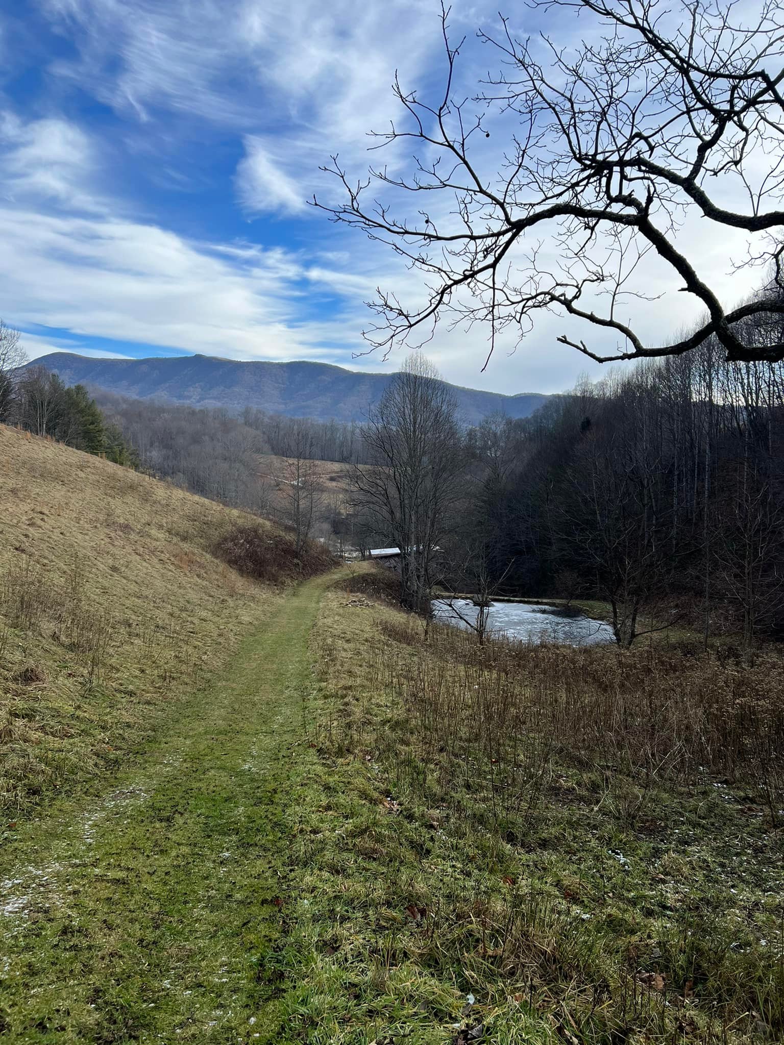 Bee Tree Ridge Farm, LLC
