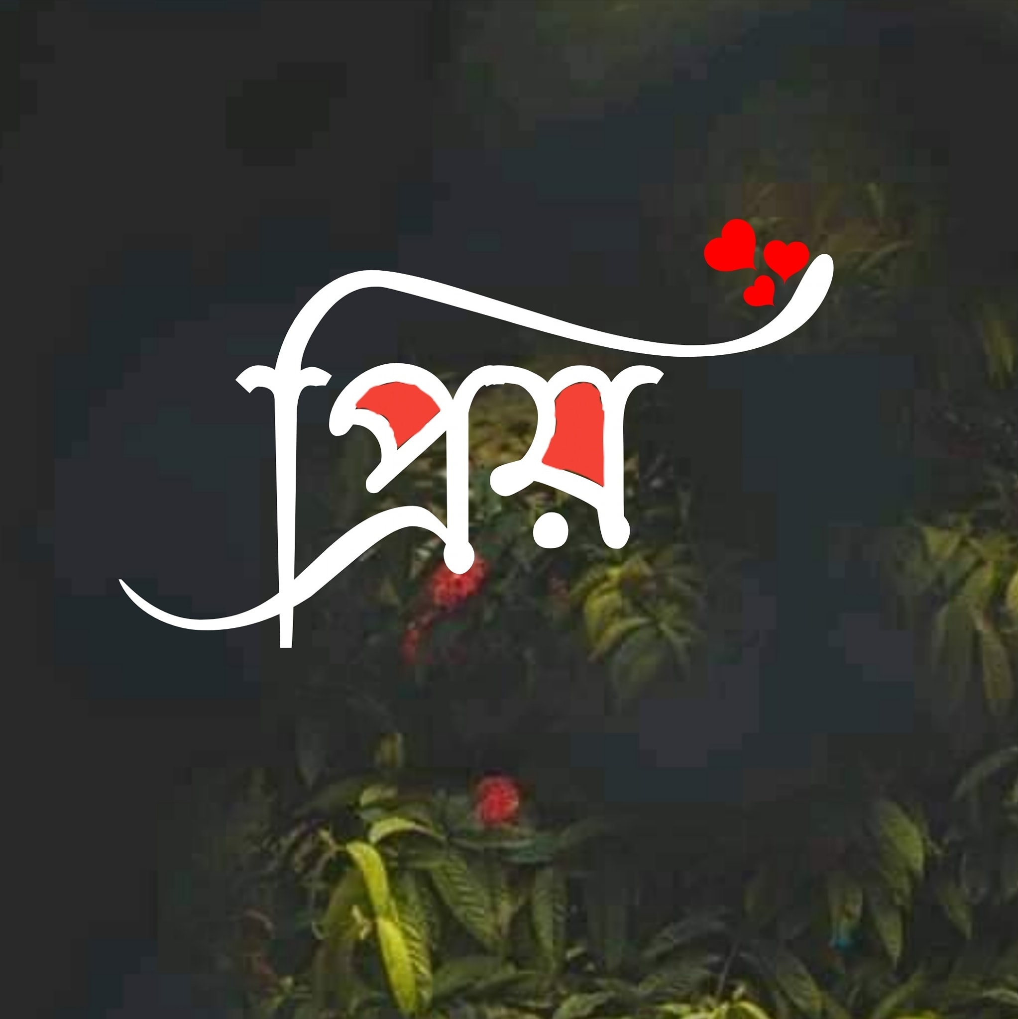 𝐏𝐫𝐢𝐲 彡 প্রিয় ツ
