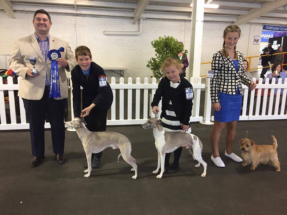 Junior Handler Competition Royal Melbourne Show