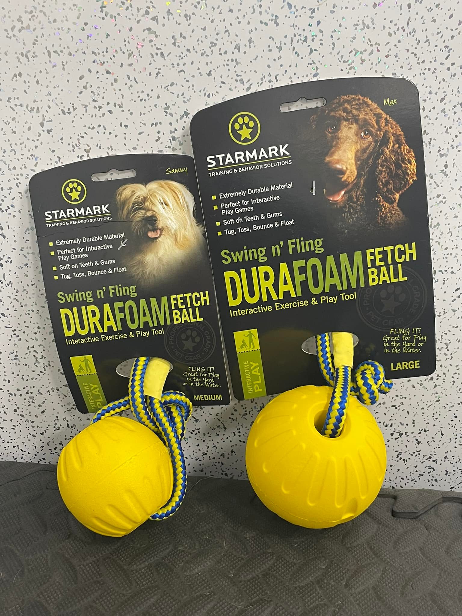 Dynamic K9’s - Home