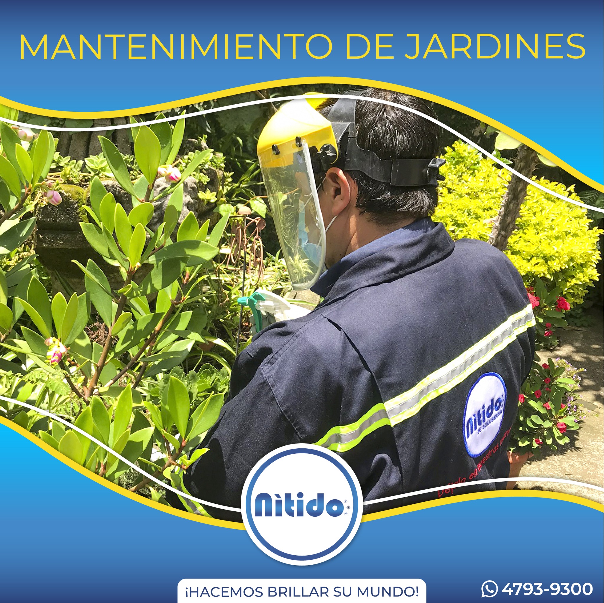 Nítido - 🌻🎋 ¡Su jardín en manos expertas! 🌷🌹 En Nítido te... | Facebook