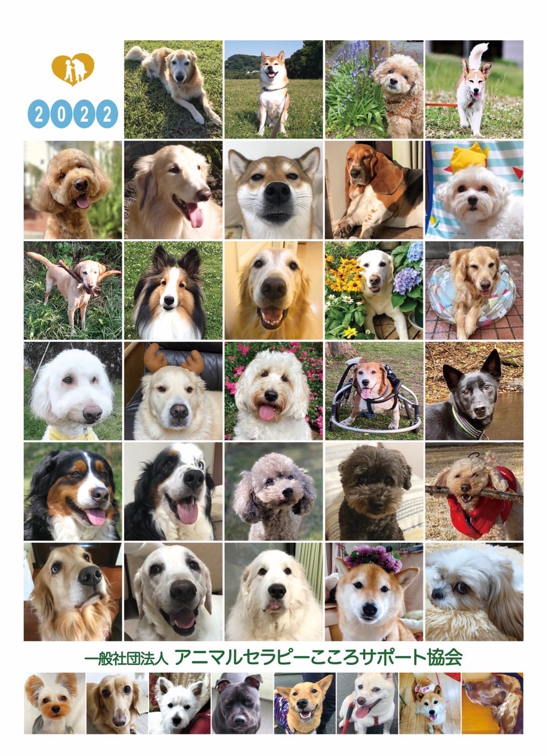 一般社団法人 アニマルセラピー こころ サポート協会 (@animaltherapy