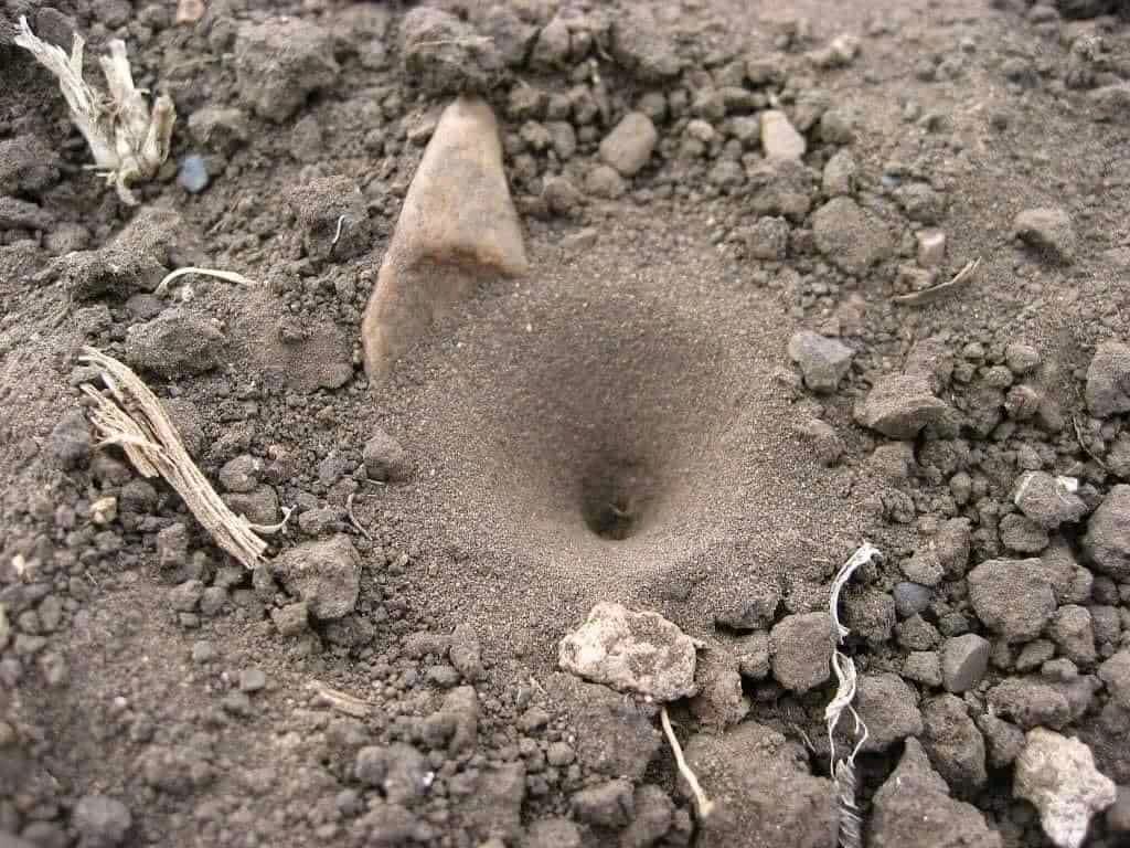 What do you call this in your language? - The African History | Facebook