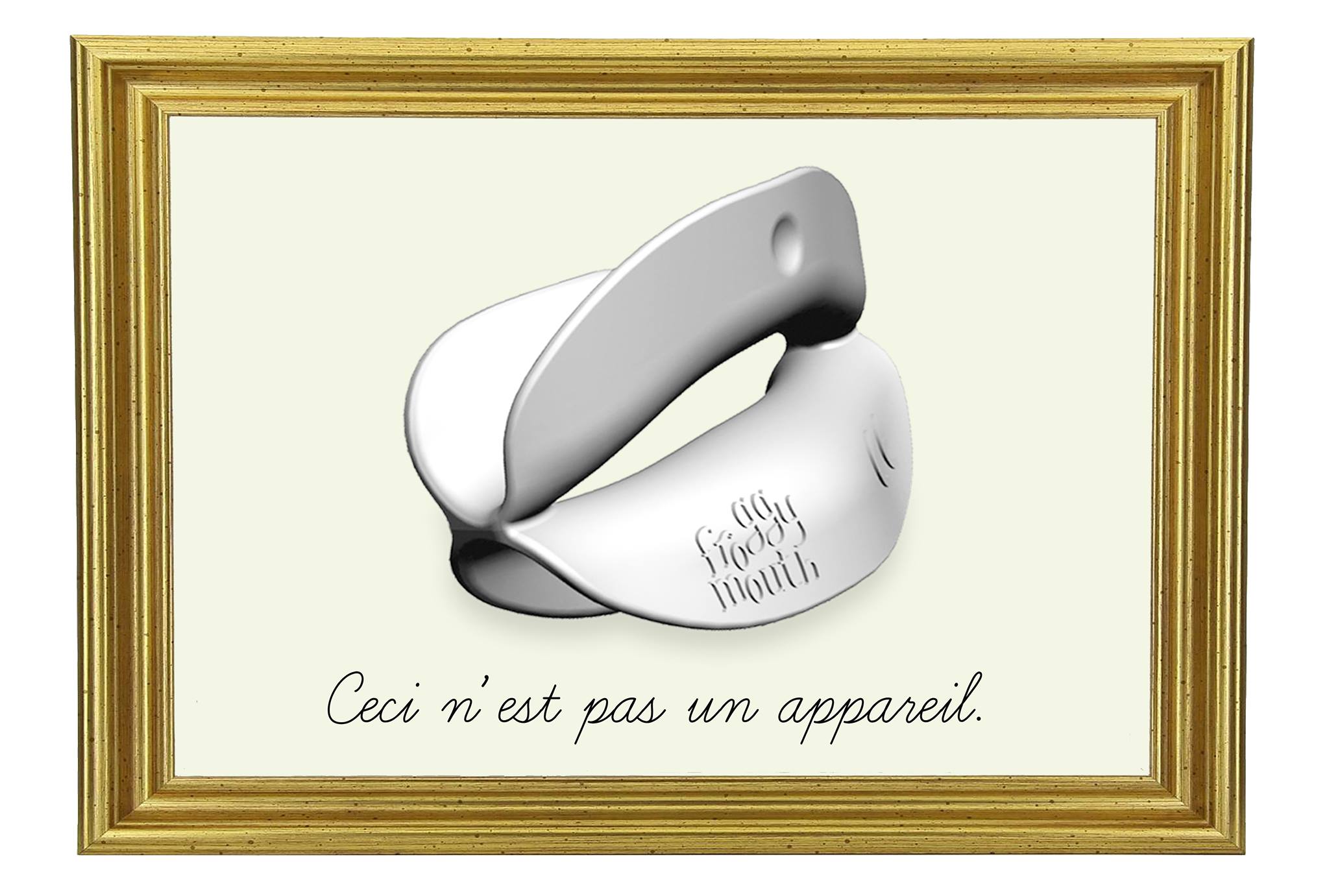 Formation du Dr Fellus : comment utiliser Froggymouth