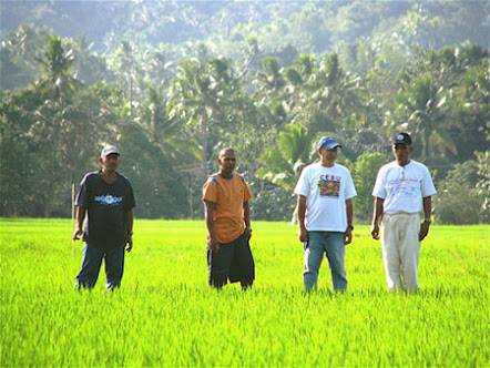 RJL Rice Production Enterprise | Malaybalay