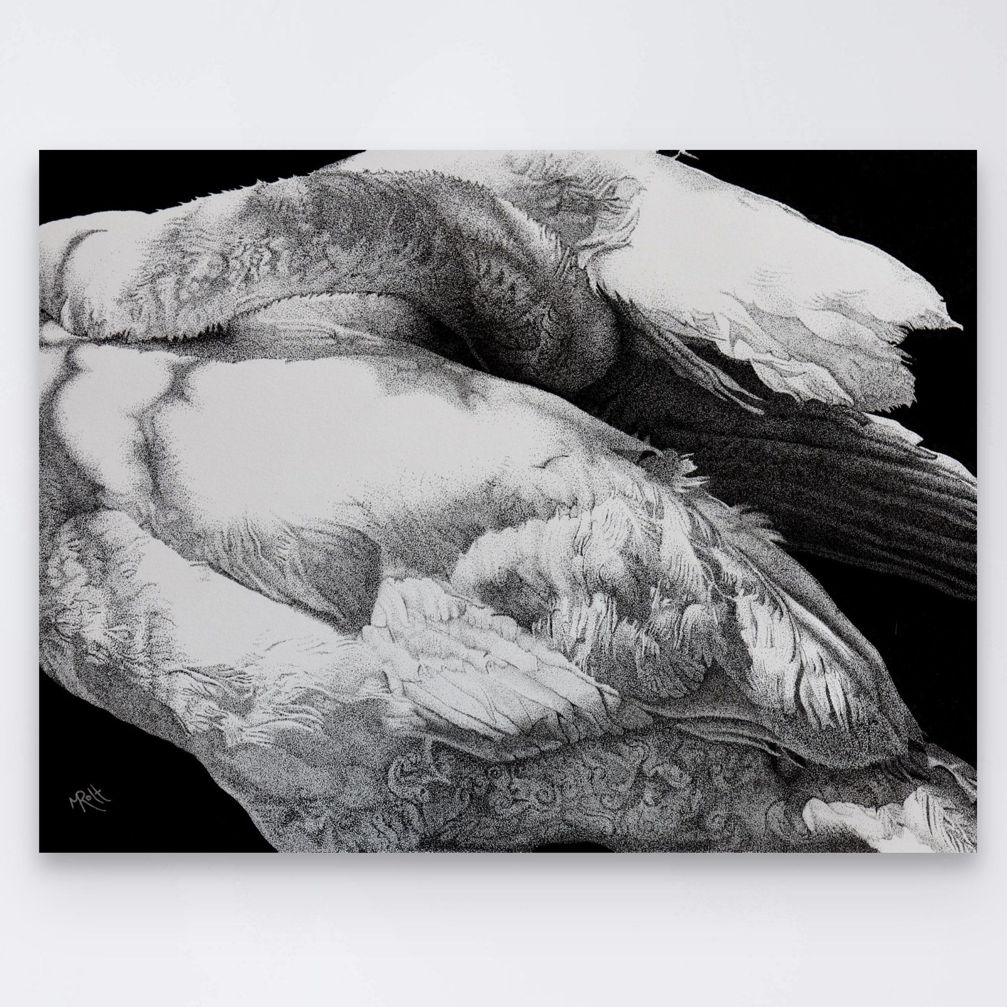 Martin Rolt Fine Art