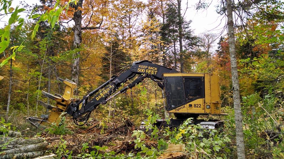 BMR Logging | Jackman ME