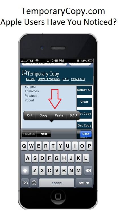 TemporaryCopy.com