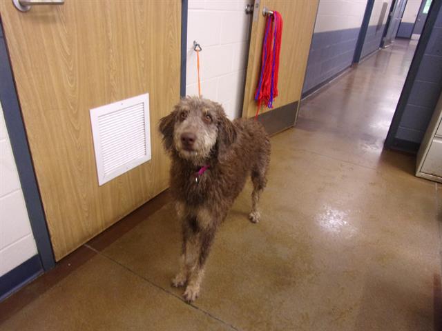 OPCA Shelter Network Alliance - ★ •RTO• ★ – Per OPCA’s confirmation ...