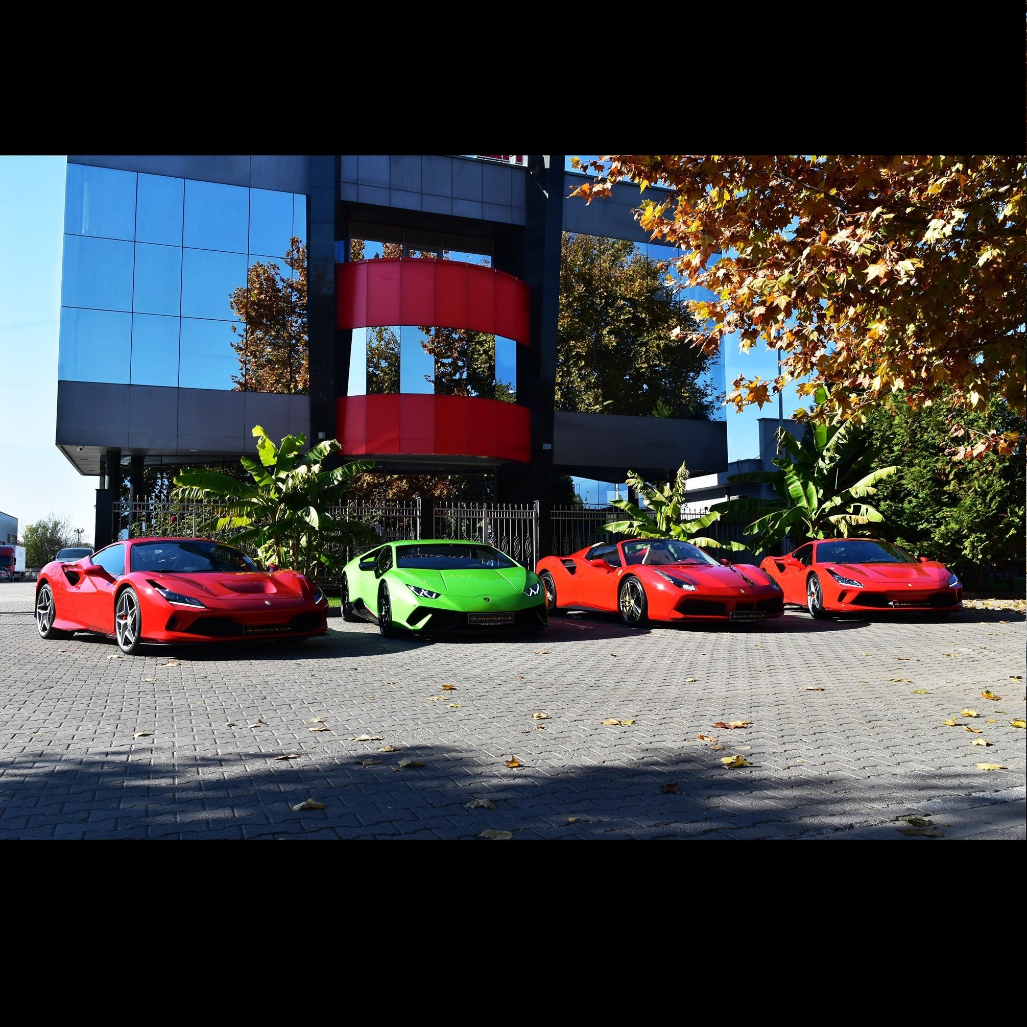 We love racing 🫶 #promosale #porsche #dbmotorsport #trackday #a1 ...