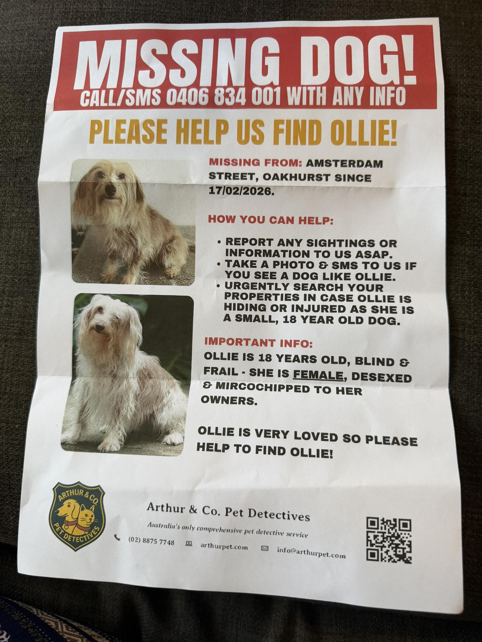 Missing blind dog in community