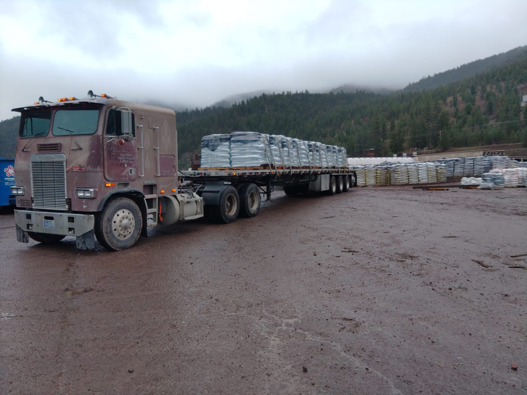 Sweet Rides Logistics