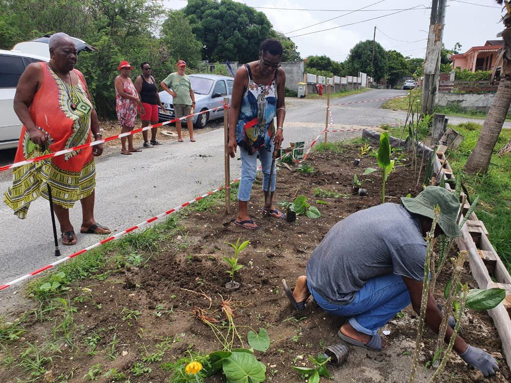 #ÉcoCitoyenneté | Les... - Ville de Sainte-Anne Guadeloupe