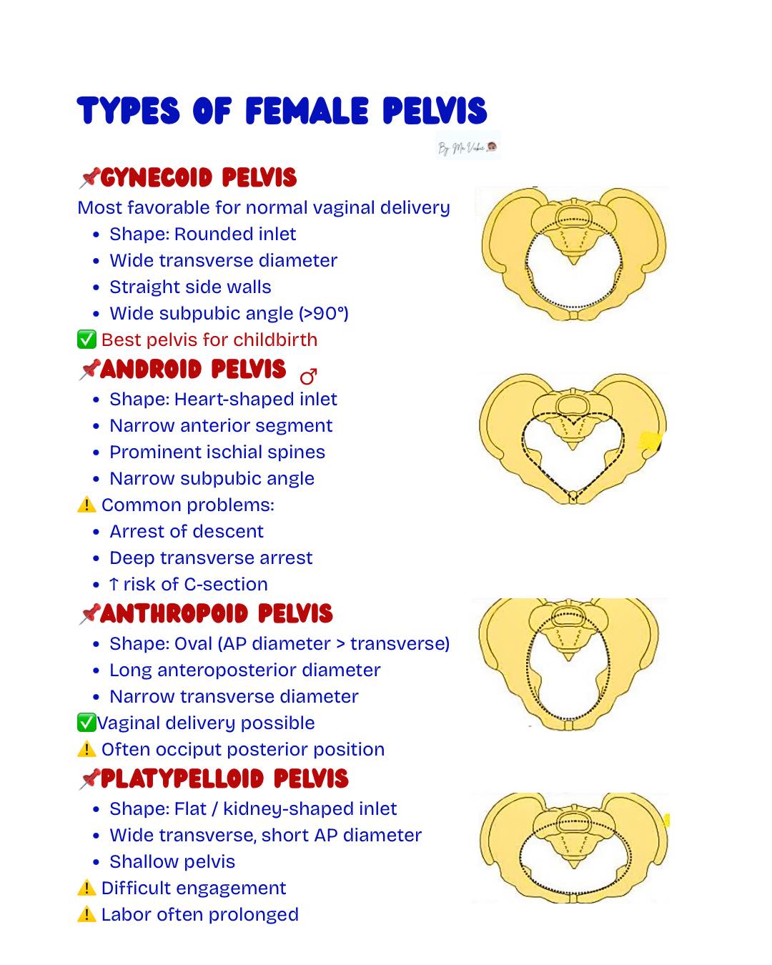 Ma - Types of Female Pelvis👇👇👇👇👇👇👇 | Facebook