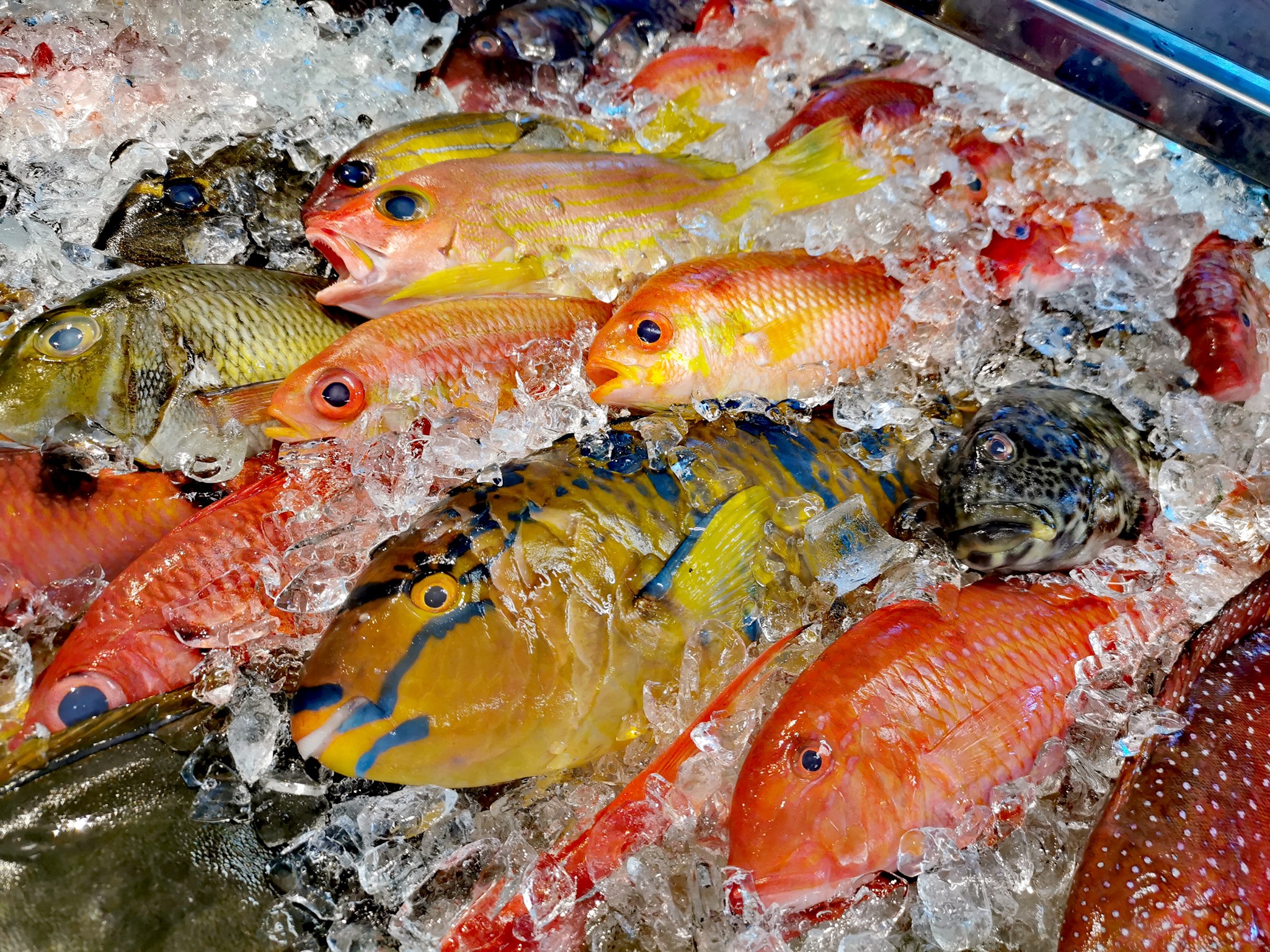 漁人海產店 | Hengchun