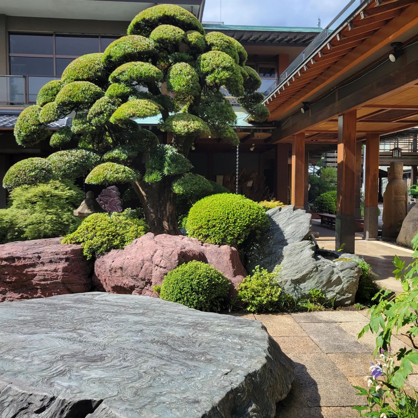 日本庭園 #菊花石 #さざれ石 #赤鎧岩 #庭師 #植木屋