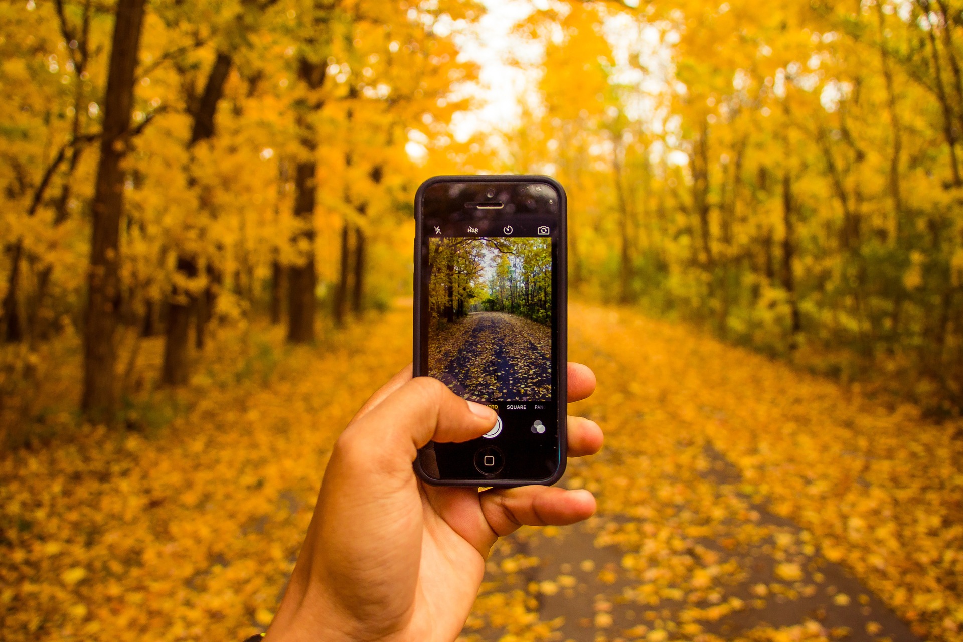 The Fun Times Guide to Cameras & Photography