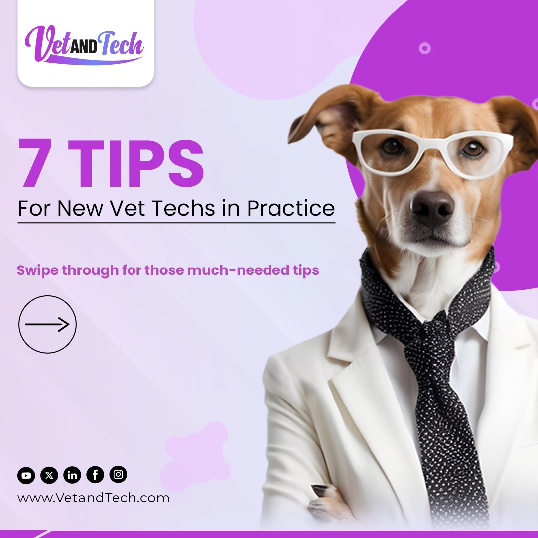 VetandTech - 7 Tips for New Vet Techs in Practice. 1. Try... | Facebook