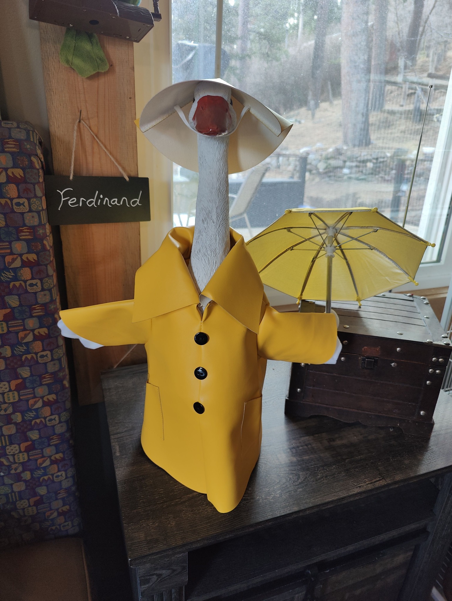 The Porch Goose Club of America | Just in time for a rainstorm🌧️😄 ...