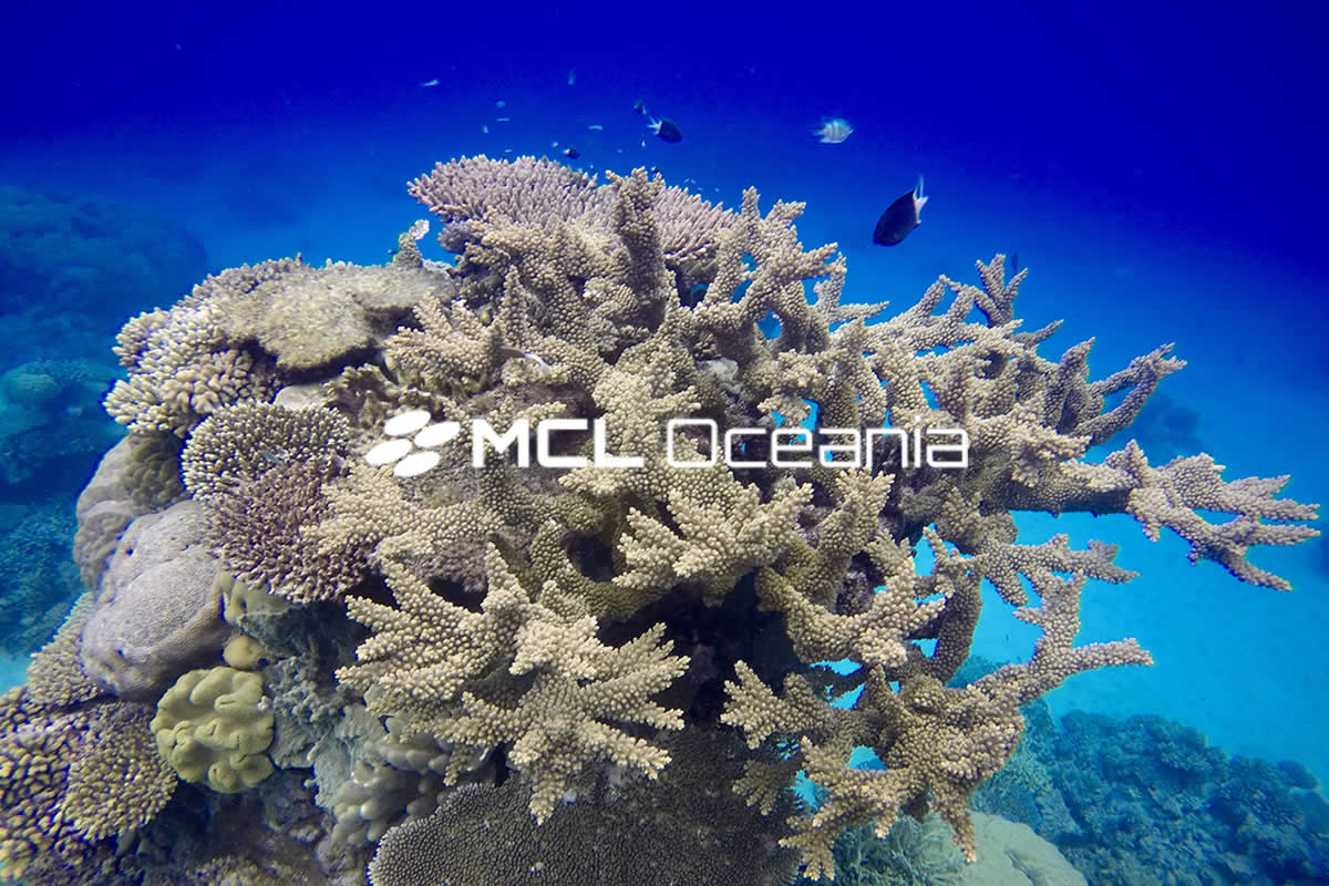 MCL Oceania | Cairns QLD