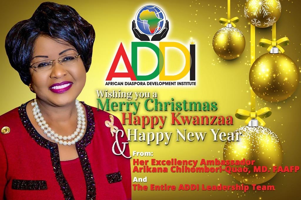 ADDI - African Diaspora Development Institute | Washington D.C. DC