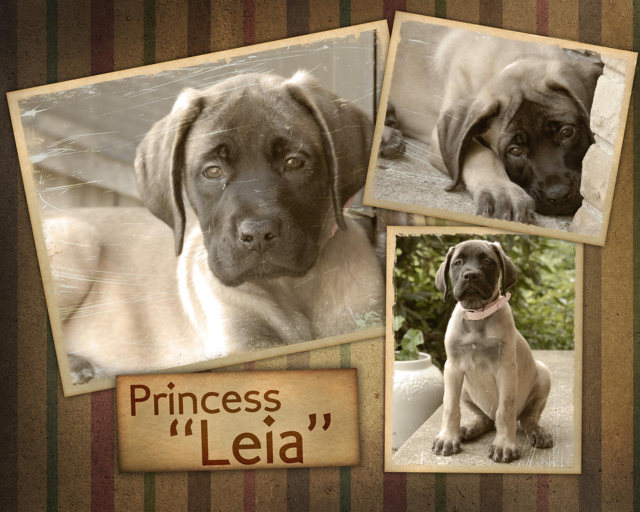 Lisa Riha Photography