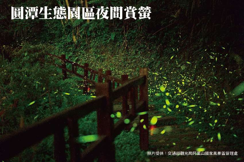 秋之林自然生態露營園區 圓潭 螢火蟲開跑了園區離圓潭約20分鐘車程詳細請參考 Facebook