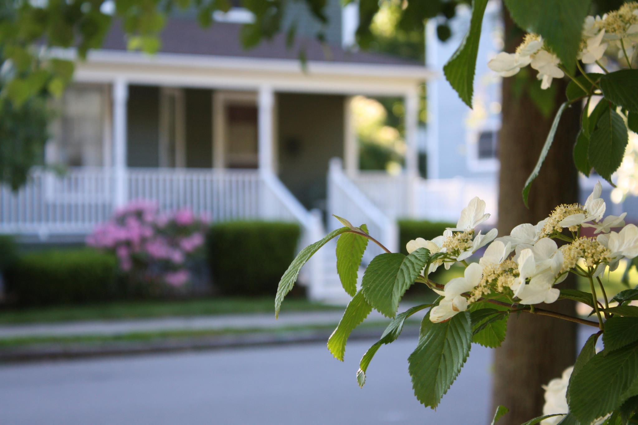 An Affordable Opportunity to Own... - Clements Realty Group | Facebook