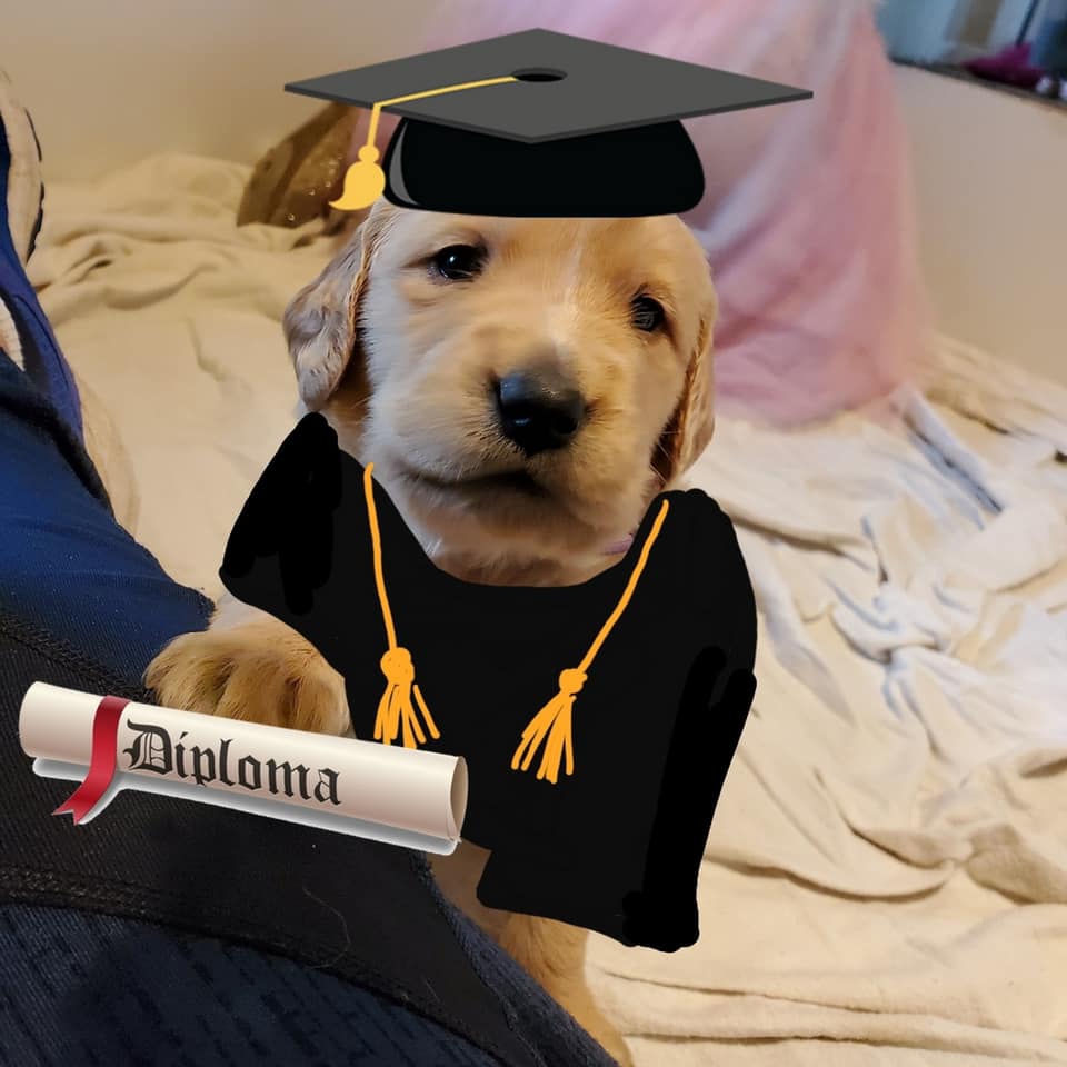 Ruby’s Rugrats - Happy Graduation Day from all the pups!!! | Facebook