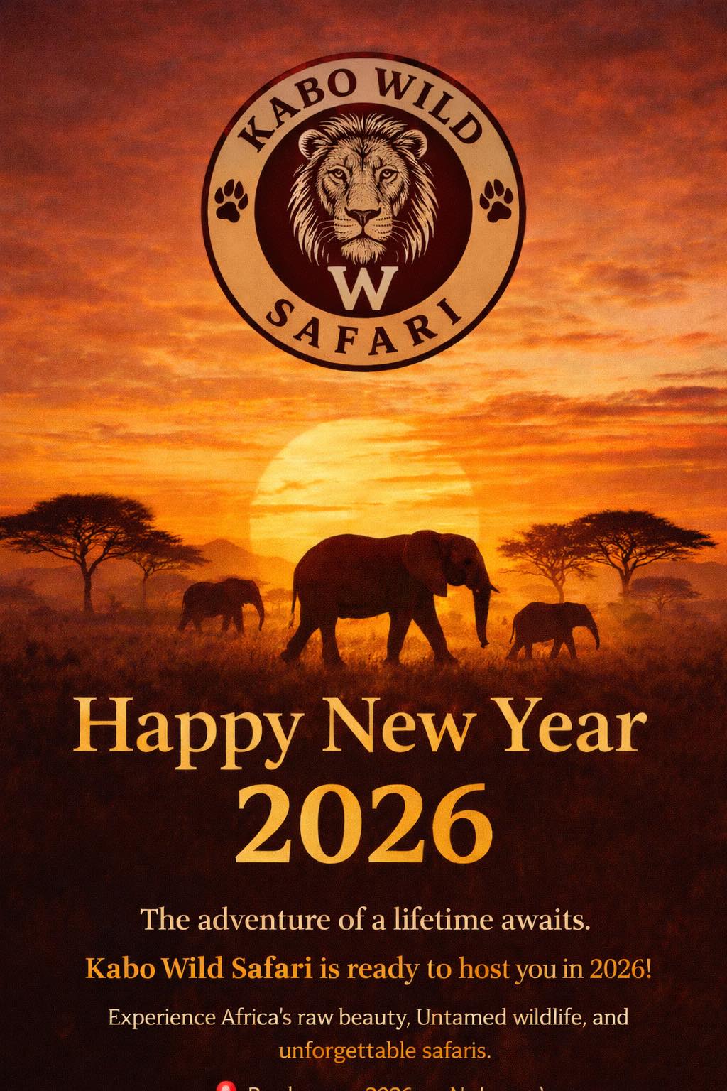 Kabo - WELCOME TO KABO WILD SAFARI 🦁🐘 Your trusted private guide into ...