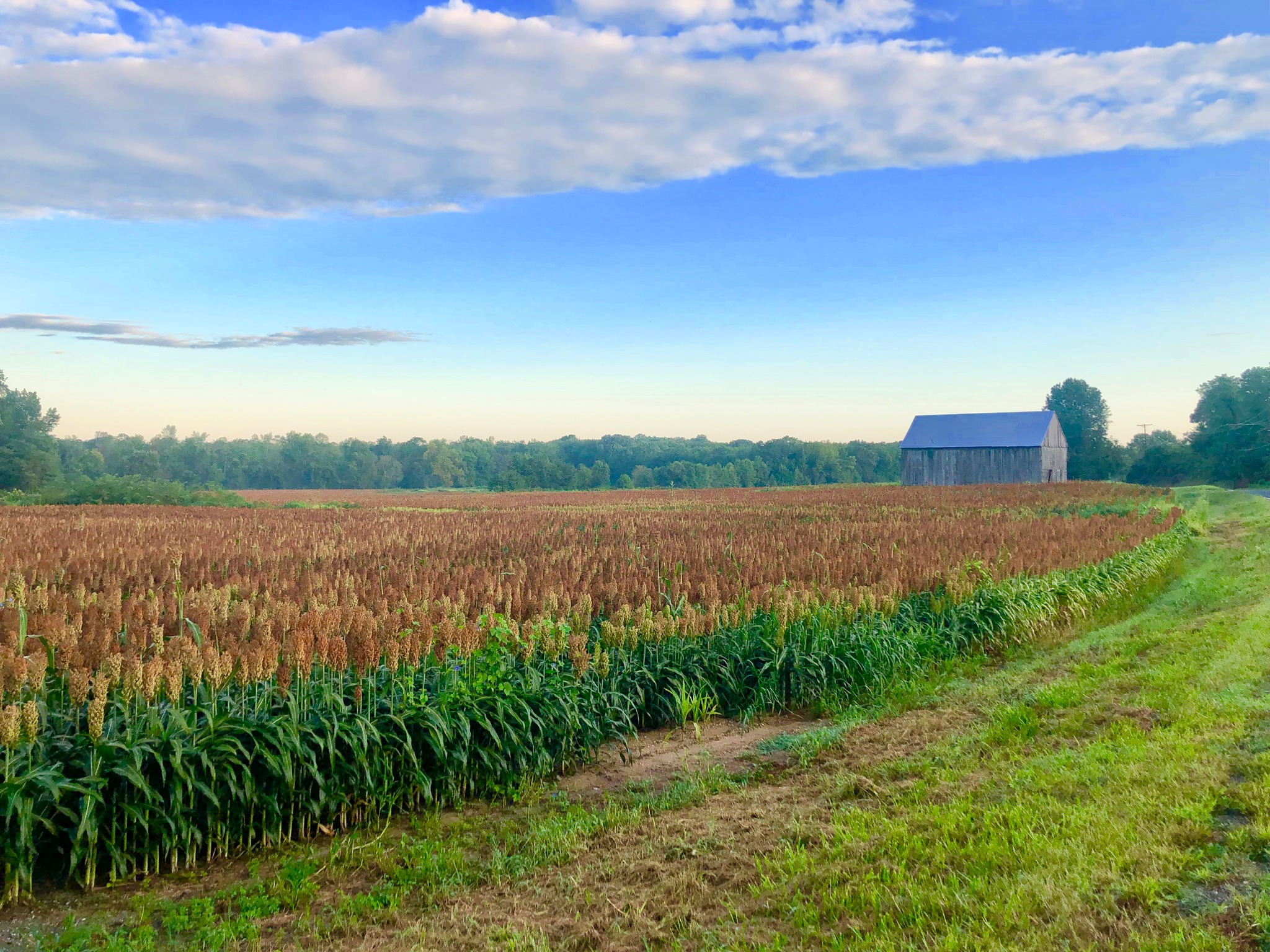 Keep Calvert Country - Grow Responsibly