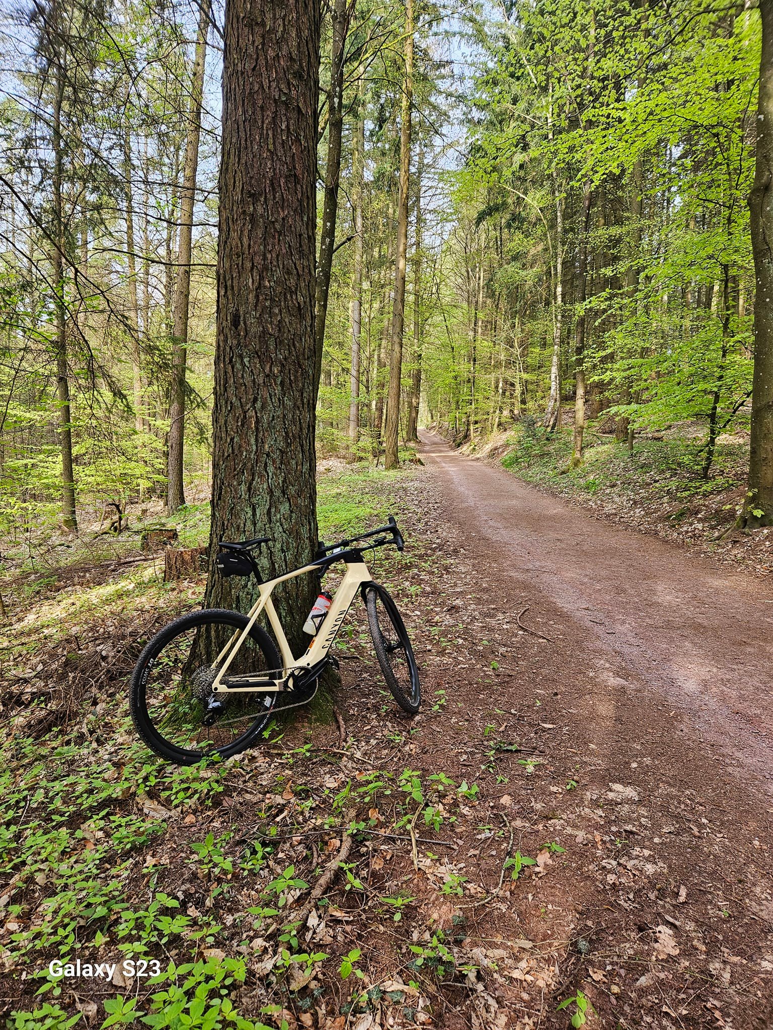 winora trekkingrad nabenschaltung TRIA R5f Low Teeth #:69.5T Vaude Aqua Back Plus Earth Loops